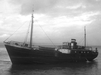 Brens by T. Diedrich